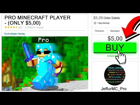 HIRING A PRO MINECRAFT PLAYER FOR 5 