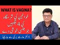 Get To Know Vagina - Khwateen Ki Jinsi Lazat Ki Jaghen Janiye - Sexual Pleasure Points of Vagina