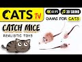 CAT TV - Catching mice 😻🐁 FOR CATS 🎶 4K 🔴 3 HOURS