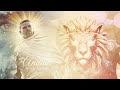 Anduin Theme, the War Within (Holy Lion Remix)