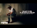 David Leonard - All Because of You (Lyric Video)
