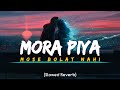 Mora Piya Mose Bolat Nahi {Slowed Reverb} Lofi Flip | Prime Music Lofi