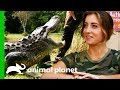Download Alligator Catch Inspires A New Volunteer To Join The Everglades Holiday Park | Gator Boys mp4 3gp mp3 videos - waplic