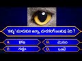Interesting Questions In Telugu|Episode-3|By Rk thoughts|Unknown Facts|Genera Knowledge|Telugu Quiz