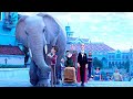 He Has To Find a Magical Elephant Who Can Find His Lost Sister. Movie Explained In Hindi/Urdu