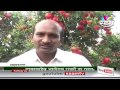 Balasaheb Bhalerao Pomegranate (Dalimb) succes story