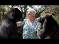 Download The Granny Who Lives With Two Bears And A Tiger mp4 3gp mp3 videos - waplic