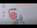 Most Beautiful Jaba Flower art || Simple Pencil Drawing