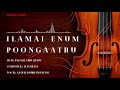 Revival Songs | Ilamai Enum Poongaatru | Pagalil Oru Iravu | Ilayaraja | SP Balasubramaniam