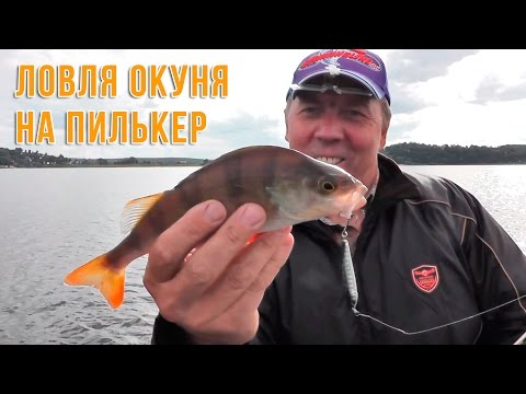приманка что потрясающе ловит окуней и щук приманка что потрясающе ловит окуней и щук