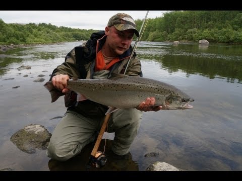 ловля семги на печенге мушки ловля семги на печенге мушки