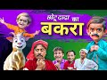 छोटू दादा का बकरा| Chotu dada ka bakra| khandeshi comedy videos 2024