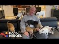 This Guy's Addicted to Rescuing Chihuahuas | Dodo Heroes