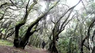 Garajonay La Gomera, video original de Xousproduccions