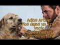 Murió ARTHUR el perro Ecuatoriano adoptado por el Sueco Mikael Lindnord || Natural Force