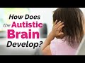 Decoding Autism: Unraveling Early Brain Development with Eric Courchesne