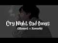 Cry Night Heartboken Hindi Lofi (Slowed X Reverb) Viral  Lo-Fi Music Mix Mashup