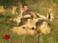 Download African Lions Accept Man As One of Their Own mp4 3gp mp3 videos - waplic