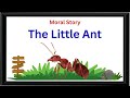 Bedtime stories | The Little Ant | Story In English | Read Aloud Books | kids Videos | Moral Story