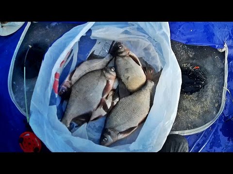 ловля леща на твистер ловля леща на твистер