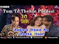 Aawara Hawa Ka Jhonka Hoon  Song - Altaf Raja