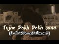 Tujhe Dekh Dekh Sona - (Lofi+Slowed+Reverb) - @vibewithlofi