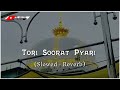 Tori Soorat pyari || slowed reverb || Rais Anis Sabri || Khwaja Garib Nawaz @rj_edit_302