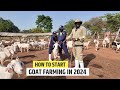 Things You Should Know Before Starting a Goat Farm - How To Start a Goat Farm In 2024