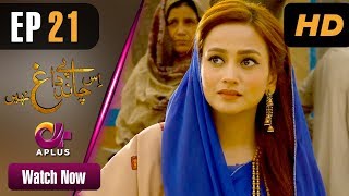 Drama Is Chand Pe Dagh Nahin - Episode 21 Aplus ᴴᴰ Dramas Zarnish Khan, Firdous Jamal Drama Is Chand Pe Dagh Nahin - Episode 21 Aplus ᴴᴰ Dramas Zarnish Khan, Firdous Jamal