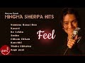 Mingma Sherpa Hit Song Collection | Namuna Banai Diyo | Cham Cham | Aanshu | Feel | Audio Jukebox