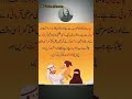 HusbandWife quotes | Urdu quotes #quotes #viral #goldenwords
