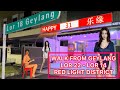 RED LIGHT DISTRICT WALK THROUGH LOR 14-22 GEYLANG SINGAPORE