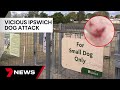 Queensland woman undergoes surgery on arm after vicious dog attack in Ipswich | 7NEWS