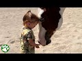 Two-year-old horse whisperer
