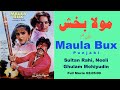 Maula Bux Punjabi Full Movie مولا بخش - Sultan Rahi, Neeli, Nadra, Ghulam Mohiyudin