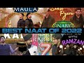 All Time Best Naat Of Danish & Dawar 2022 - Sabse Pyara Nabi | Maula | Kaba | Hasbi Rabbi 7 | Ramzan