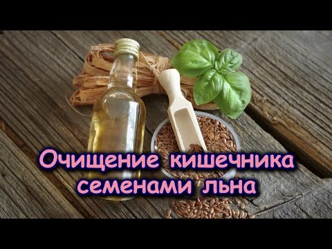 Выражение - это. значение слова Выражение Выпадают ли у кошек зубы? - Кот обормот