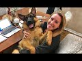 When your dog is your soulmate ❤️️ Cute Dog And Human Moments