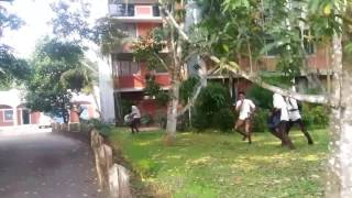 Queen trailer 2 by royal mechanical mesce