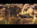 Download Secret Life of Predators S01 E03 Exposed HDTV mp4 3gp mp3 videos - waplic