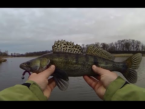 рыбалка весной на силикон рыбалка весной на силикон