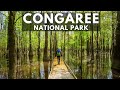 Congaree National Park: 24 Hours Kayaking and Hiking in South Carolina