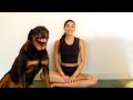 Yovanna Ventura- 10min Meditation for focus and relaxation
