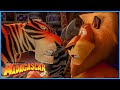 The Crew Join the Circus | Extended Preview | DreamWorks Madagascar