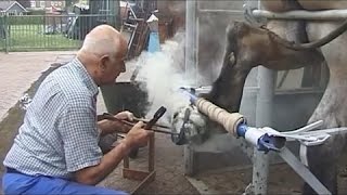 Primitive Technology Horse Hoof Cleaning Scraping Shoeing Polishing Rasp File Grinding Blacksmith
