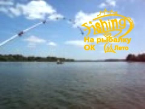днепр донка лещ днепр донка лещ