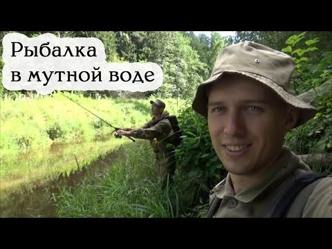 кого можно ловить в мутной воде кого можно ловить в мутной воде