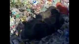 Baloch Bori Band Lash Gulistna-e-Johar Karachi Kill MQM