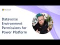 Dataverse Environment Permissions for Power Platform