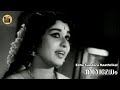 Ezhu Sundara Raathrikal |ഏഴ് സുന്ദര രാത്രികൾ | Aswamedham| Movie Song | P. Susheela |Central Talkies